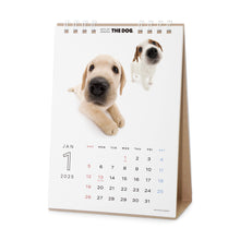 Read the image into the gallery view, THE DOG 2025 Calendar Desktop Size (All Star)
