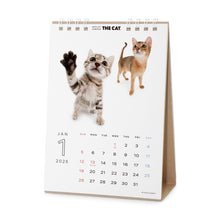 Read the image into the gallery view, THE CAT 2025 Calendar Desktop Size (All Star)
