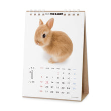 Read the image into the gallery view, The Rabbit 2025 Calendar desktop size
