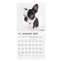画像をギャラリービューアに読み込む, THE DOG 2027年カレンダー 大判サイズ（ボストン・テリア）の1月
