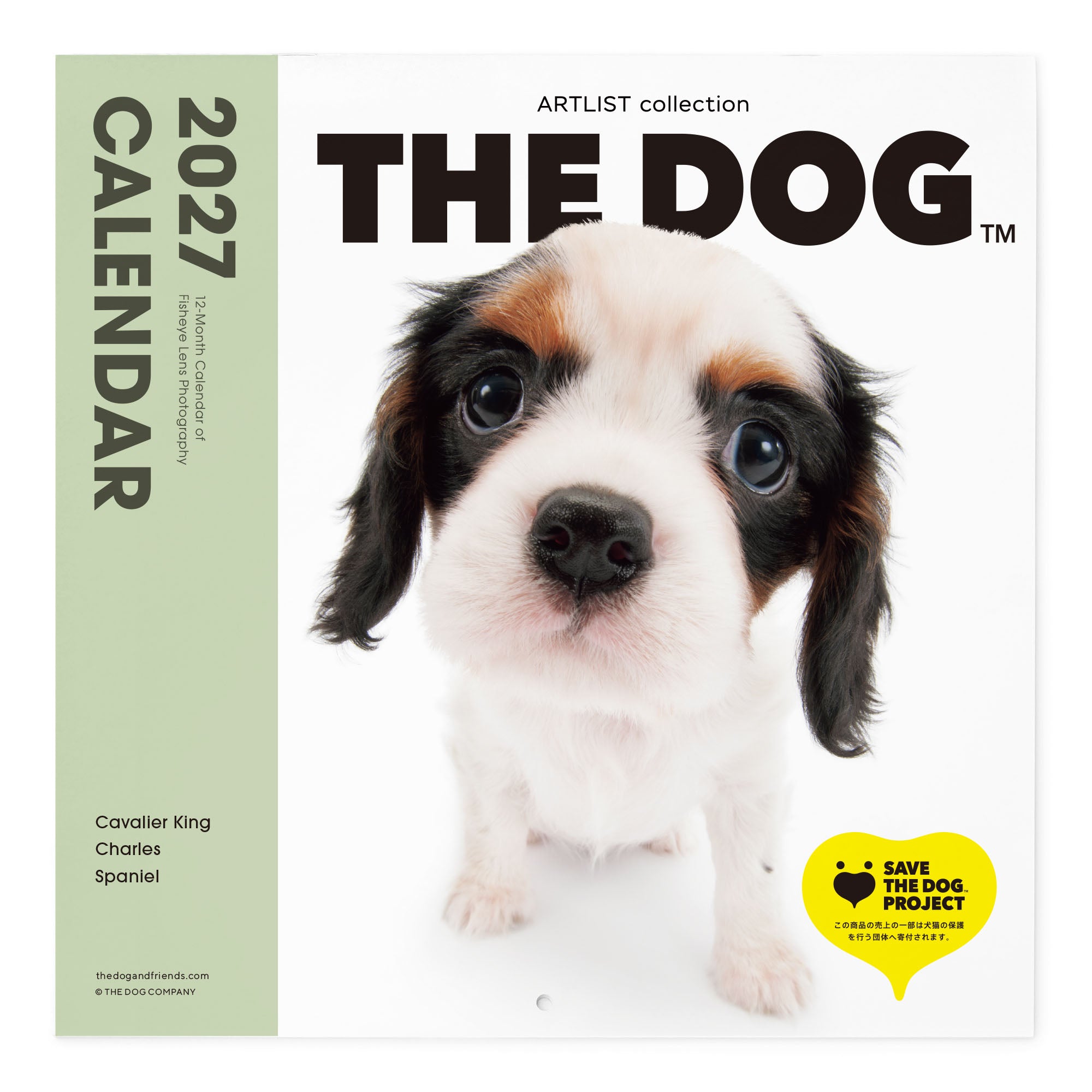 キャバリア・キング・チャールズ・スパニエル | THE DOG STORE | THE