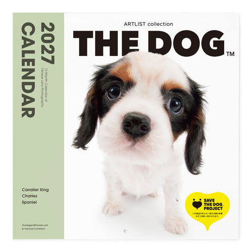 Cavalier King Charles Spaniel | The Dog Store | The Dog Official