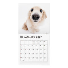 갤러리보기에 이미지를 읽고 THE DOG 2027年カレンダー 大判サイズ（ダックスフンド）の1月
