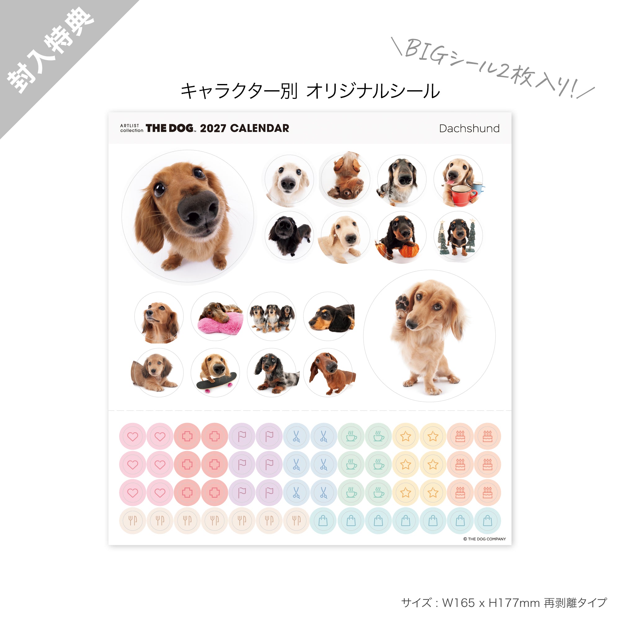 犬ページ2️⃣ THE DOG 2027年 令和9年カレンダー ミニサイズ（ダックスフンド