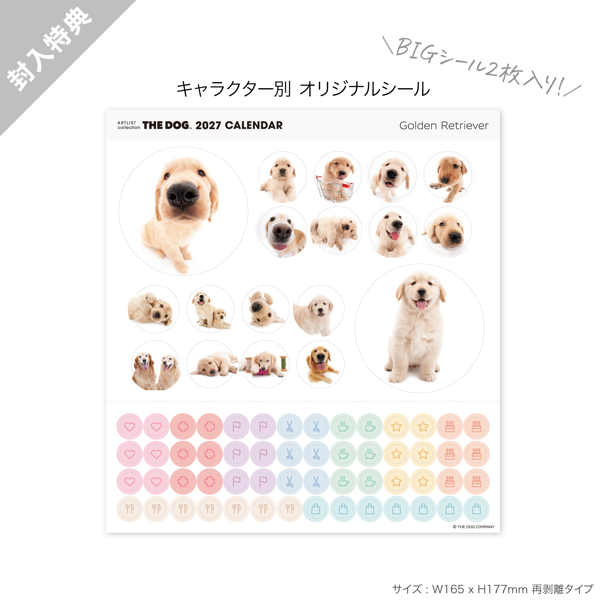 THE DOG 2027年 令和9年カレンダー 大判サイズ（ゴールデン