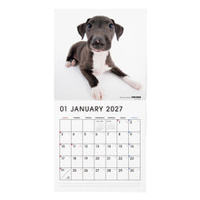 画像をギャラリービューアに読み込む, THE DOG 2027年カレンダー 大判サイズ（イタリアン・グレイハウンド）の1月
