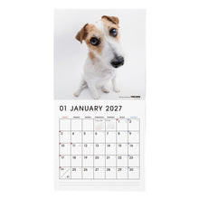 画像をギャラリービューアに読み込む, THE DOG 2027年カレンダー 大判サイズ（ジャック・ラッセル・テリア）の1月

