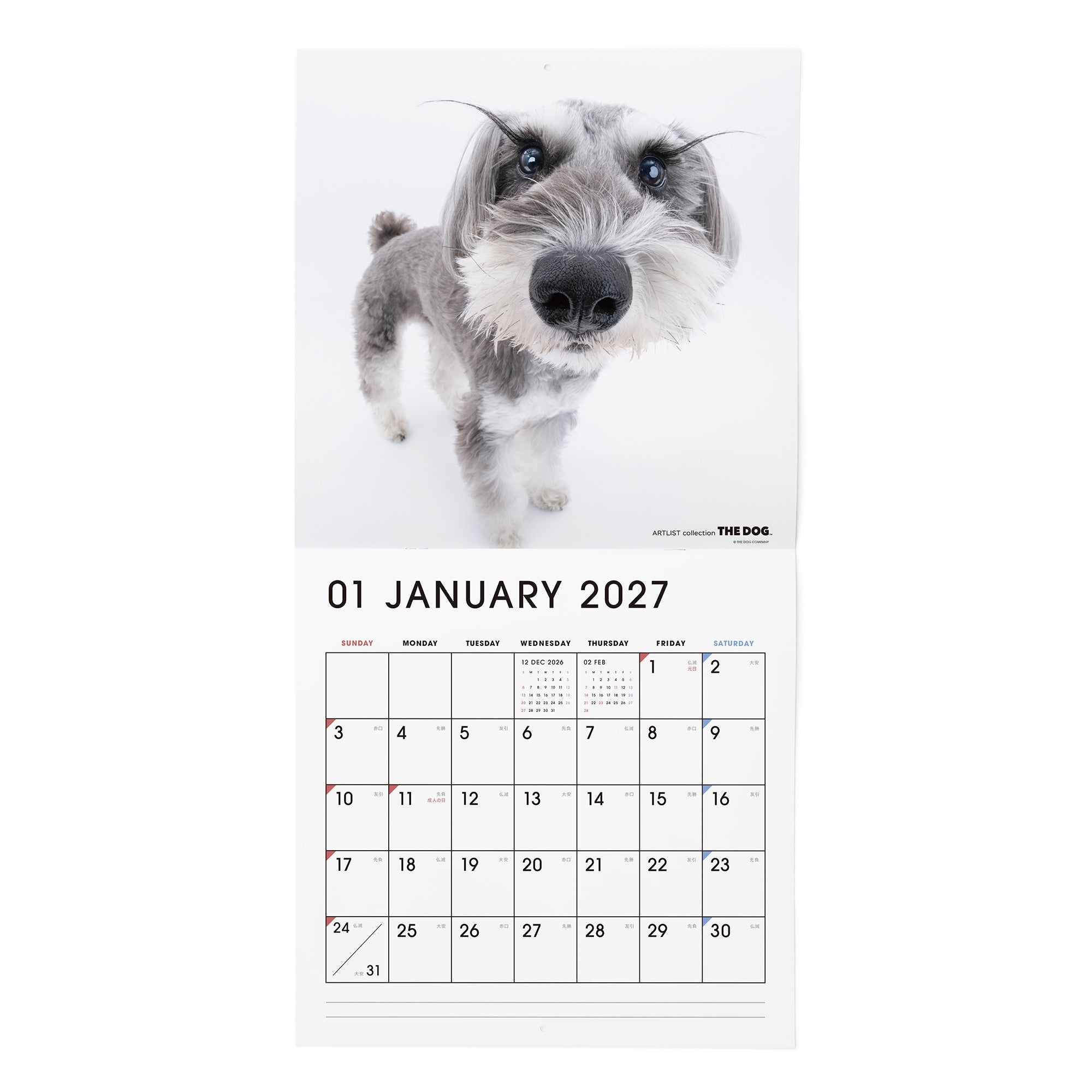 THE DOG 2027年 令和9年カレンダー 大判サイズ（ミニチュア