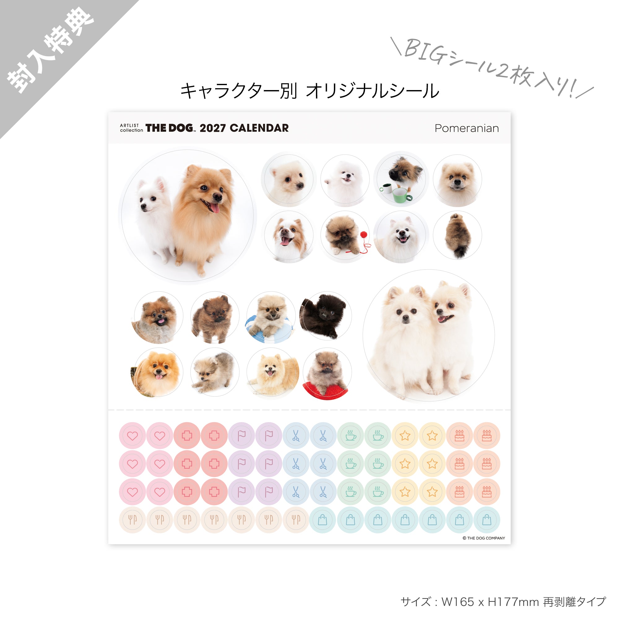 THE DOG 2027年 令和9年カレンダー 卓上サイズ（ポメラニアン） シール