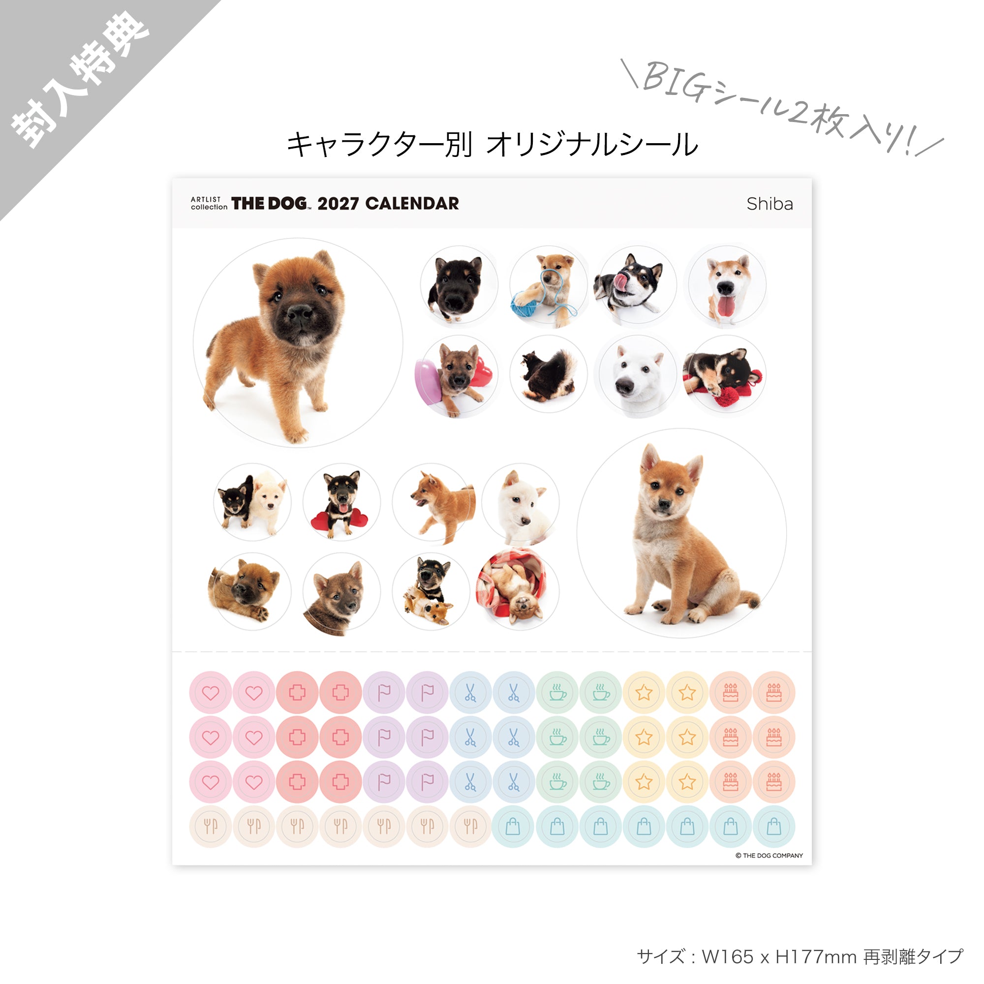 THE DOG 2027年 令和9年カレンダー 卓上サイズ（柴） シール付き 六曜