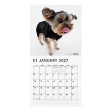 画像をギャラリービューアに読み込む, THE DOG 2027年カレンダー 大判サイズ（ヨークシャー・テリア）の1月
