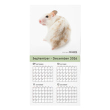 画像をギャラリービューアに読み込む, THE HAMSTER 2027年カレンダー 大判サイズの2026年部分
