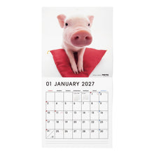 画像をギャラリービューアに読み込む, THE PIG 2027年カレンダー 大判サイズの1月
