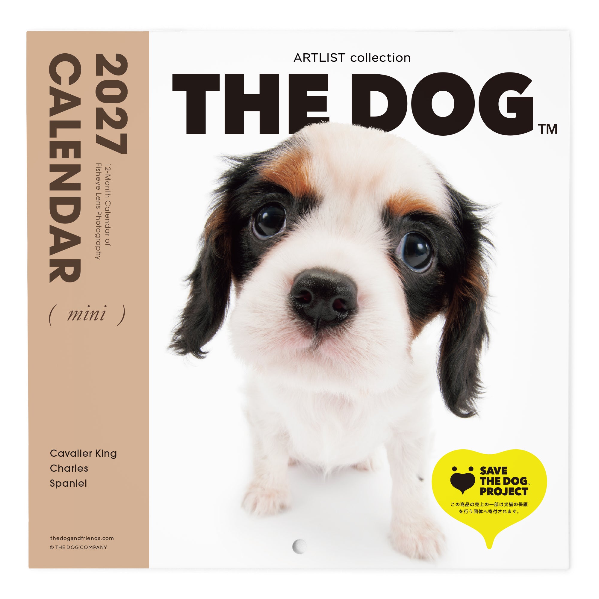 キャバリア・キング・チャールズ・スパニエル | THE DOG STORE | THE