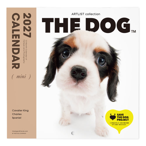 キャバリア・キング・チャールズ・スパニエル | THE DOG STORE | THE