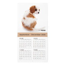 画像をギャラリービューアに読み込む, THE DOG 2027年カレンダー ミニサイズ（キャバリア・キング・チャールズ・スパニエル）の2026年部分
