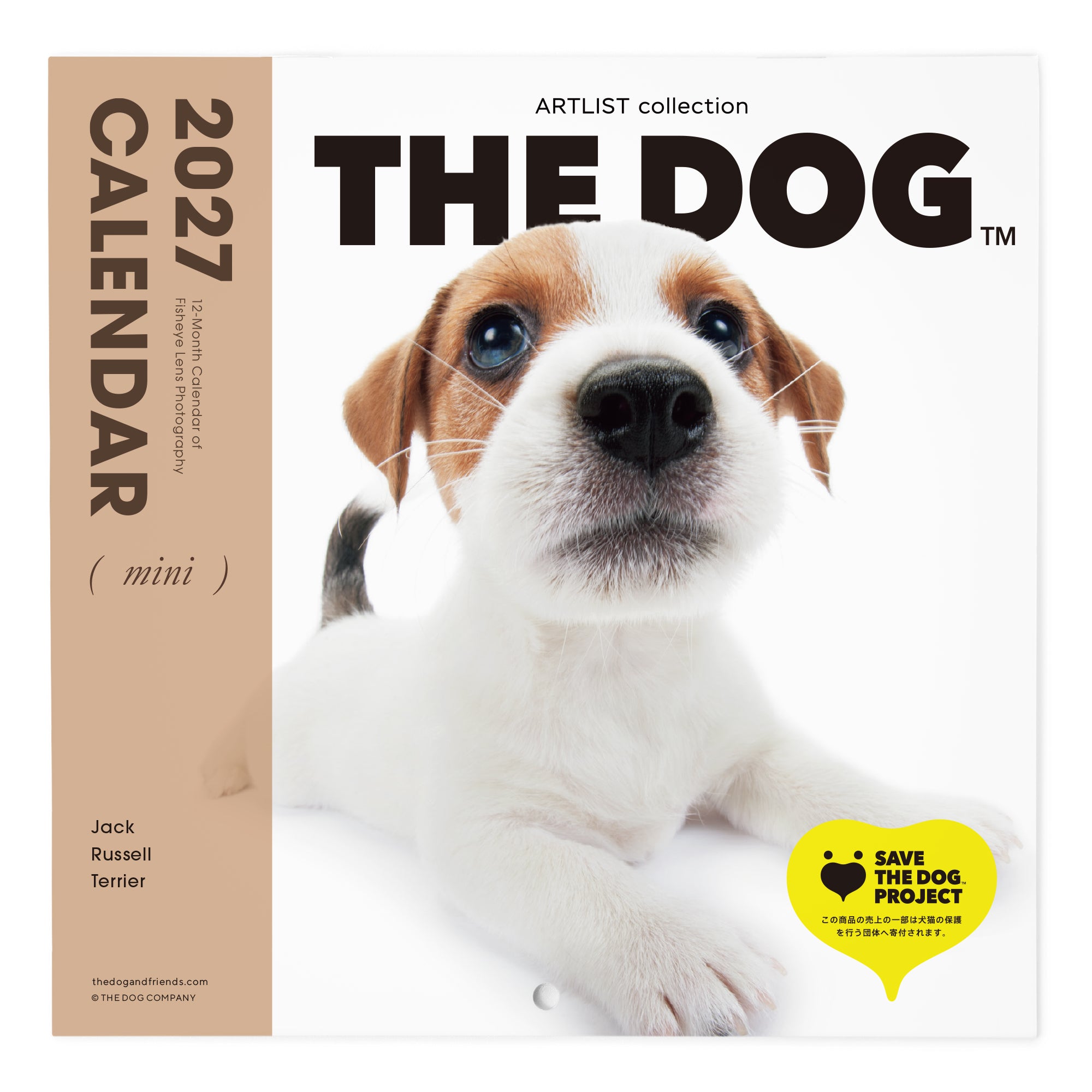 ジャック・ラッセル・テリア | THE DOG STORE | THE DOG 公式