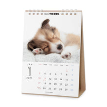 画像をギャラリービューアに読み込む, THE DOG 2027年カレンダー 卓上サイズ（シェットランド・シープドッグ）の1月
