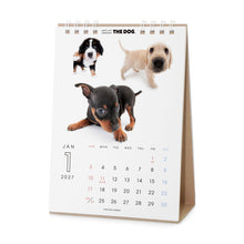 갤러리보기에 이미지를 읽고 THE DOG 2027年カレンダー 卓上サイズ（オールスター）の1月
