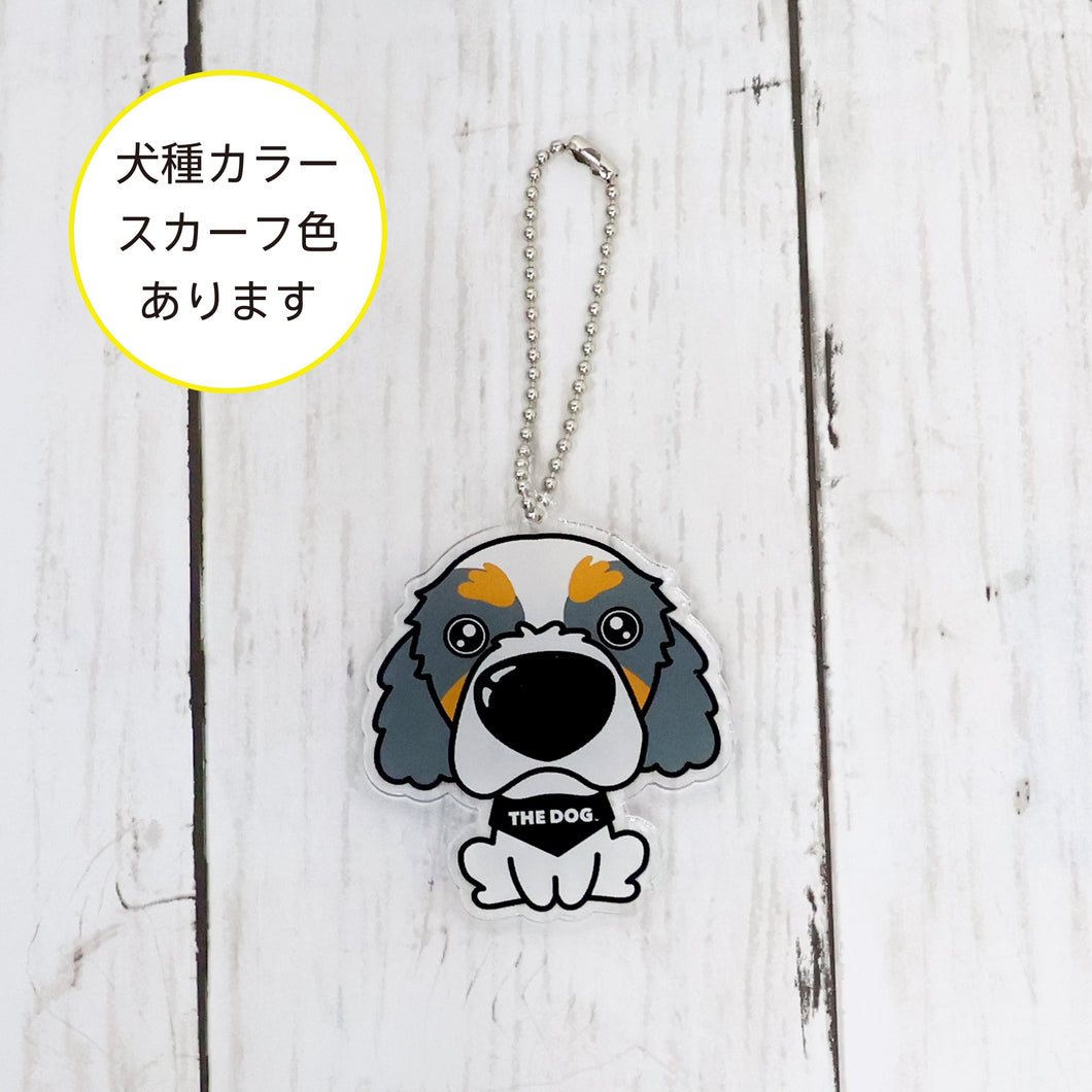 THE DOG × ThreeB キーホルダー キャバリア