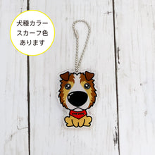 Read the image into the gallery view, THE DOG × THREEB Keychain Shetland Sheep Dog
