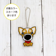 Read the image into the gallery view, THE DOG × THREEB Keychain Chihuahua
