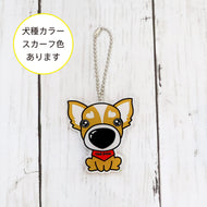 THE DOG × ThreeB キーホルダー チワワ