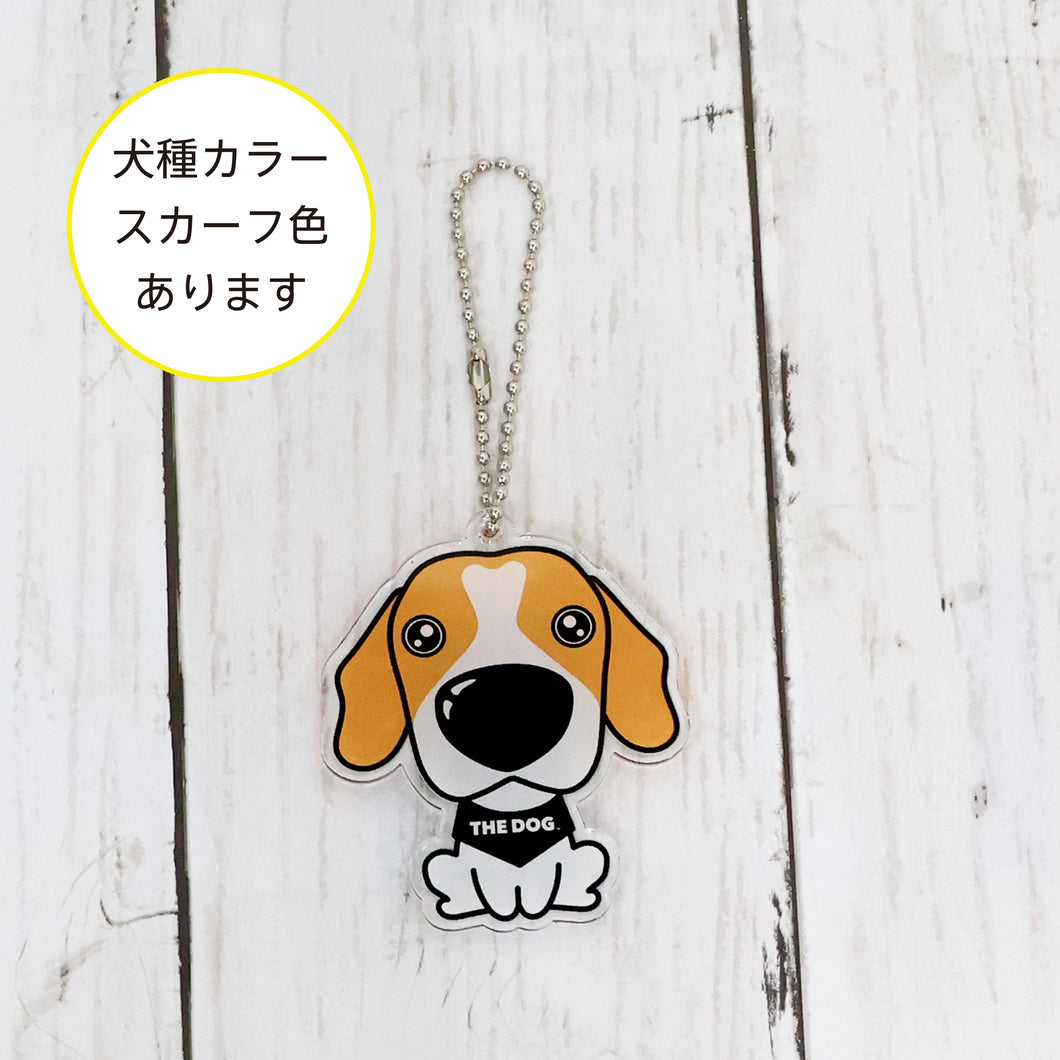 THE DOG × ThreeB キーホルダー ビーグル