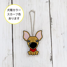 Read the image into the gallery view, THE DOG × THREEB Keychain Miniature Pinscher
