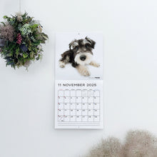 Lea la imagen en la vista de la galería, El perro 2025 Calendario Tamaño de gran formato (Chihuahua)
