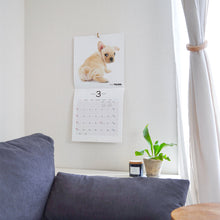 Read the image into the gallery view, THE DOG 2025 Calendar mini size (French Bull Dog)
