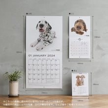 Lea la imagen en la vista de la galería, El tamaño del escritorio del calendario del perro 2025 (pug)
