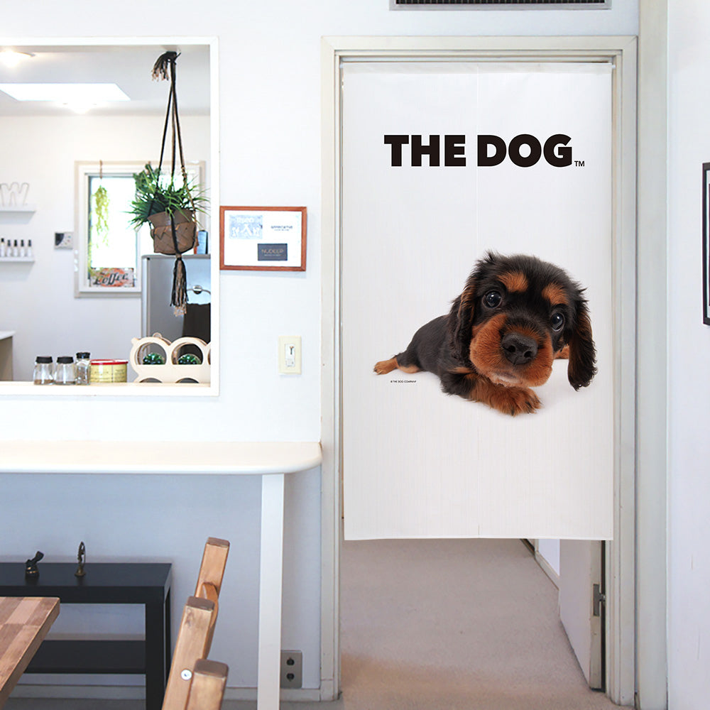 Cavalier King Charles Spaniel | The Dog Store | The Dog Official