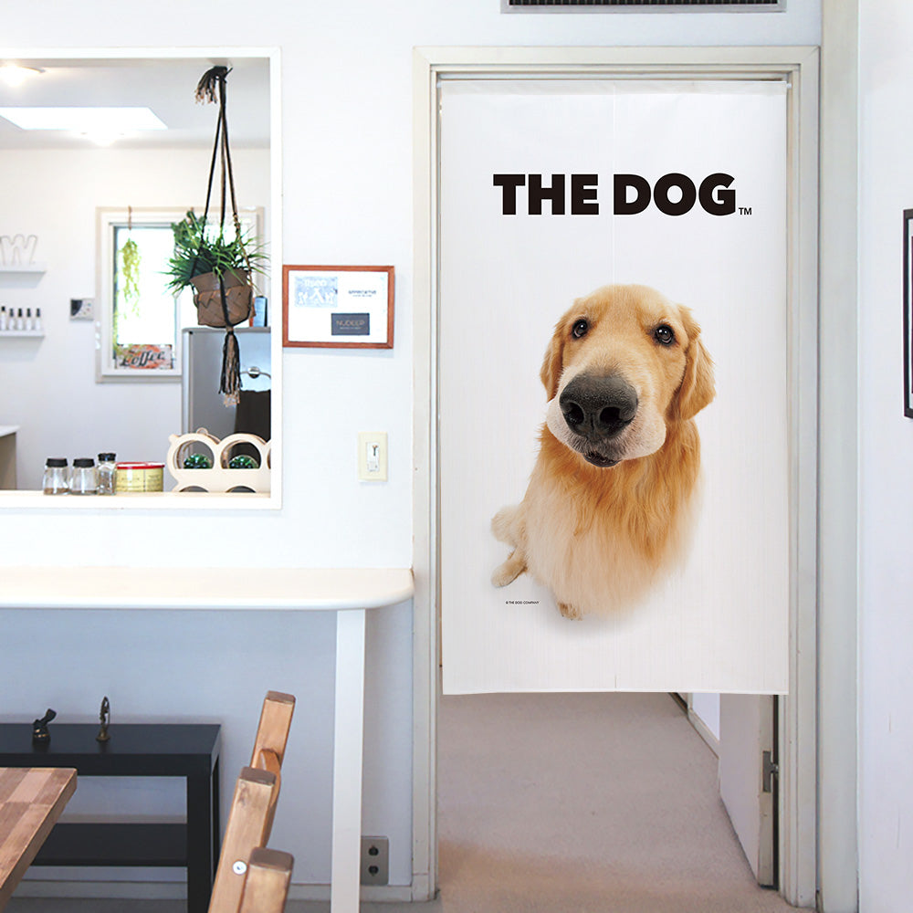 Golden Retriever | The Dog Store | The Dog Official Online Shop