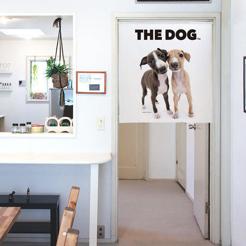 イタリアン・グレイハウンド | THE DOG STORE | THE DOG 公式