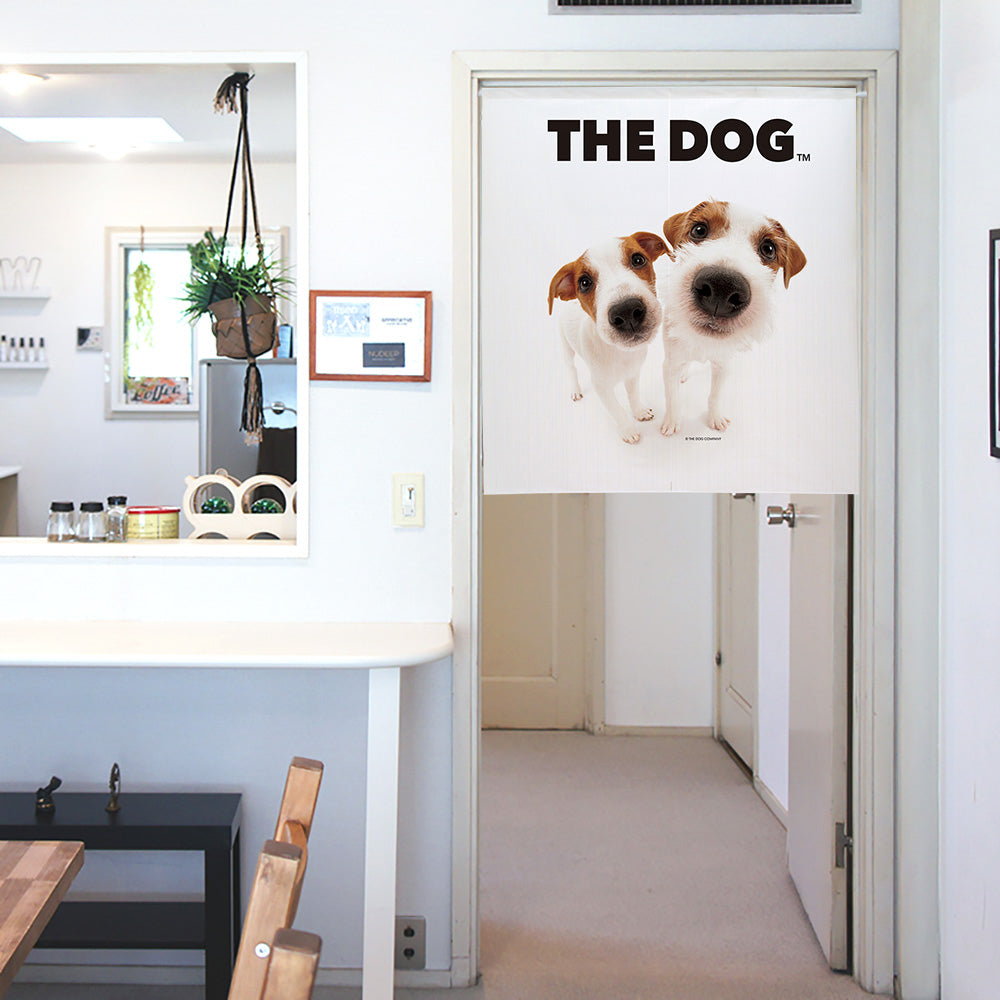 ジャック・ラッセル・テリア | THE DOG STORE | THE DOG 公式