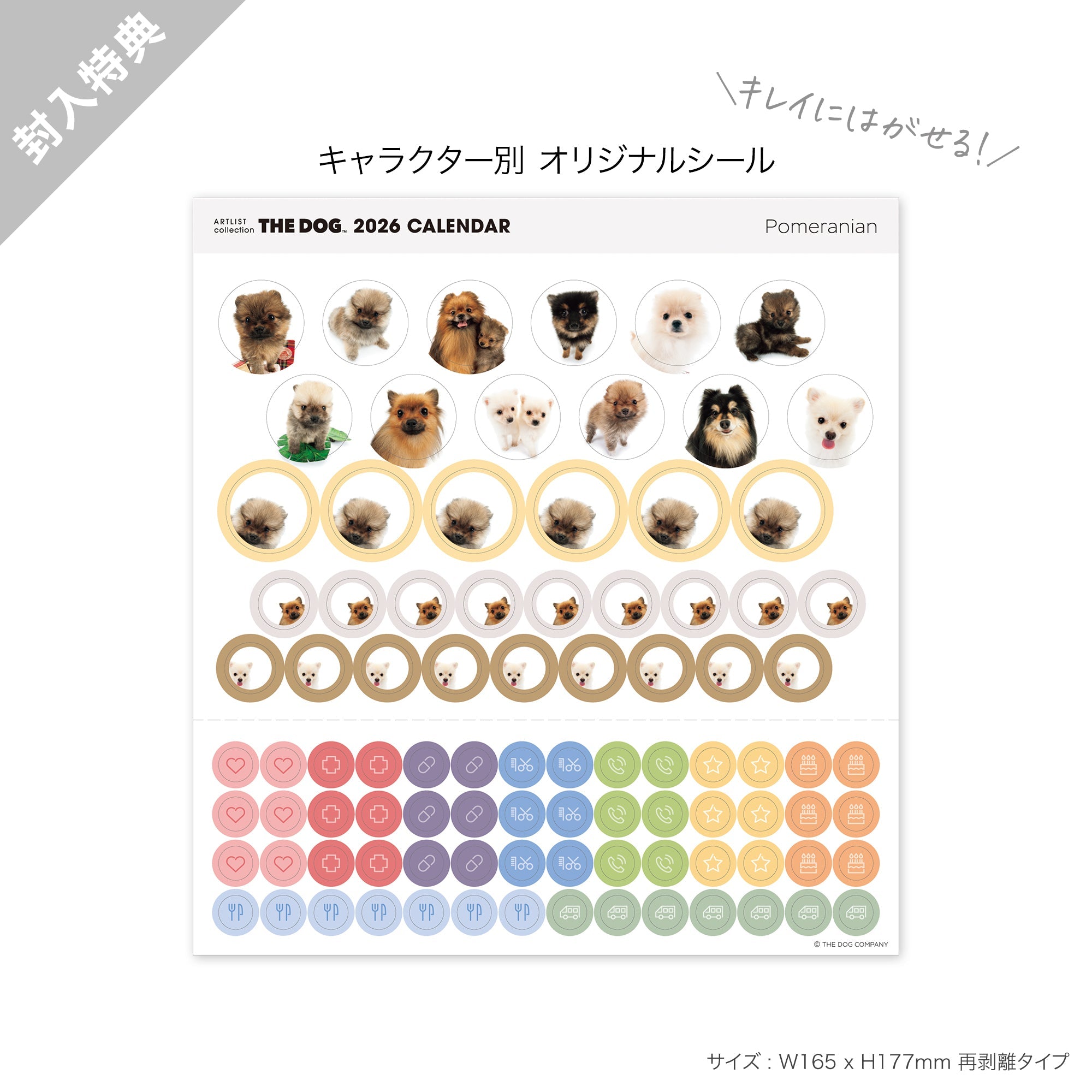 2026年（令和8年）壁掛けカレンダー（ミニ） ポメラニアン オリジナル