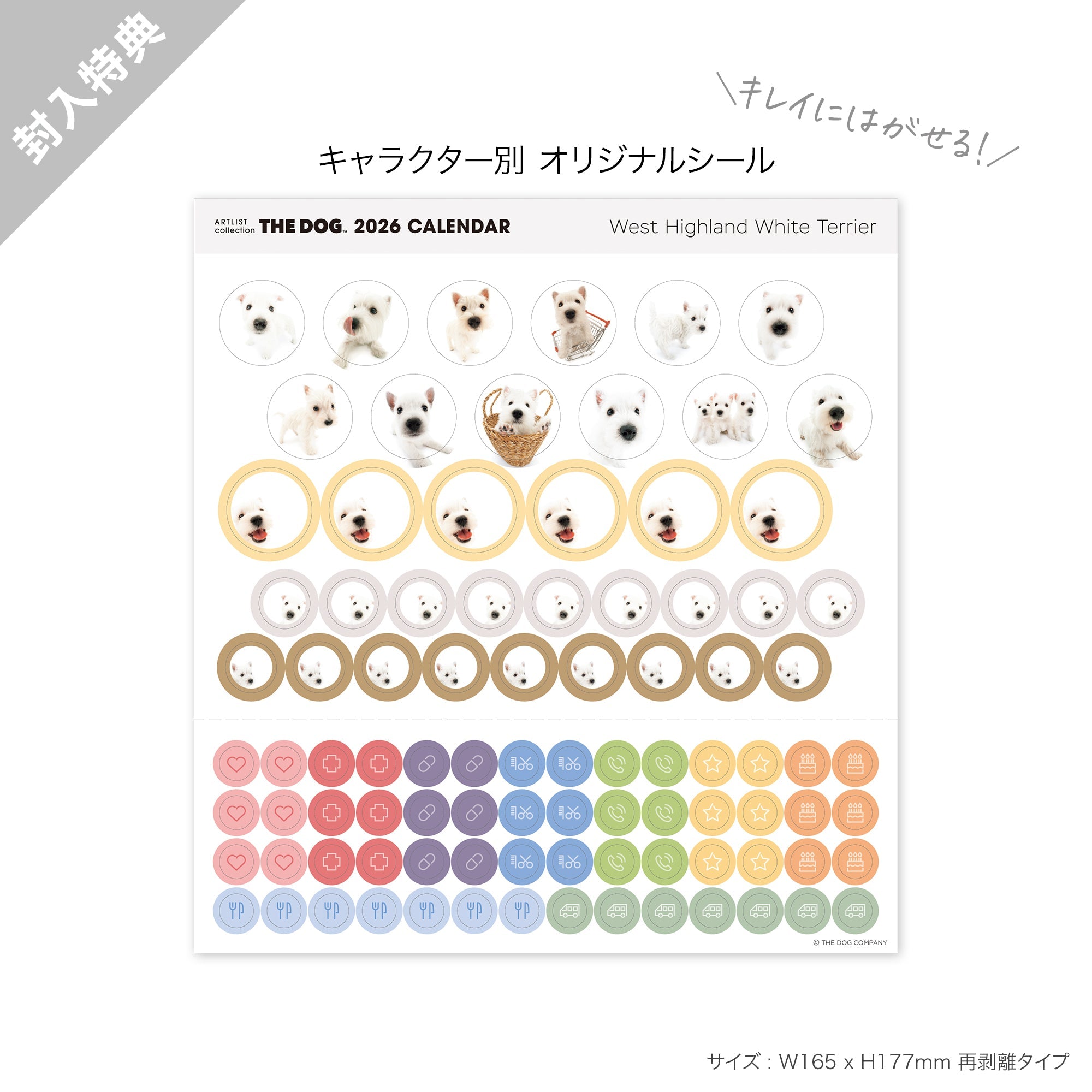 2026年（令和8年）壁掛けカレンダー（大判） ウエスト・ハイランド