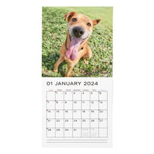 画像をギャラリービューアに読み込む, 【予約：12月中旬より順次お届け】SAVE THE DOG 2024カレンダー
