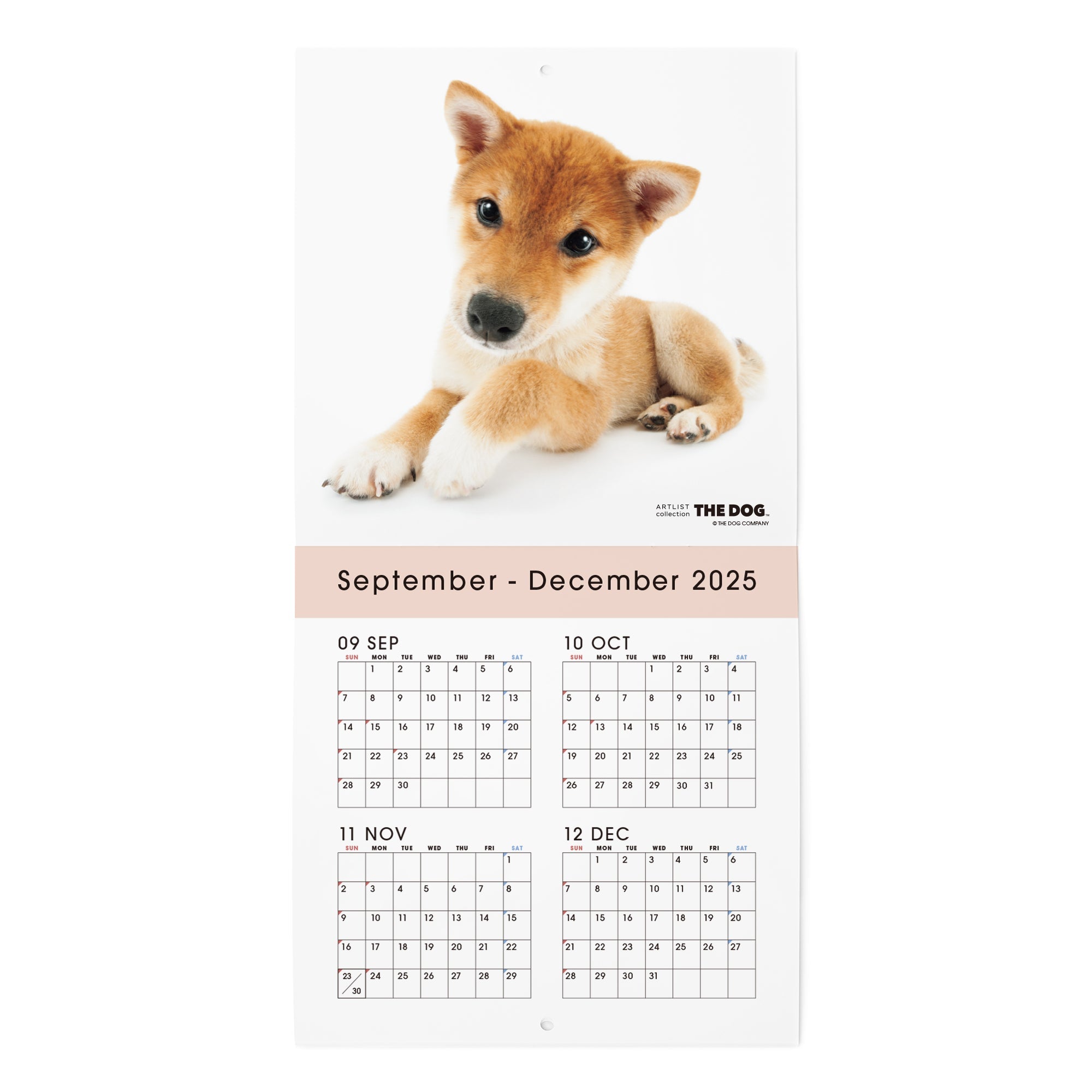 2026年（令和8年）壁掛けカレンダー（ミニ） 柴犬 オリジナルシール