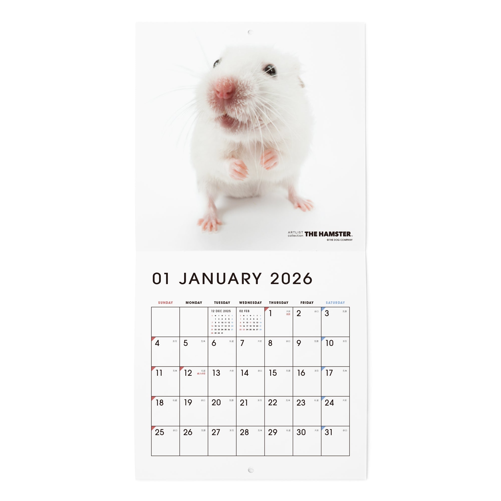 2026年（令和8年）壁掛けカレンダー（ミニ） ハムスター オリジナル