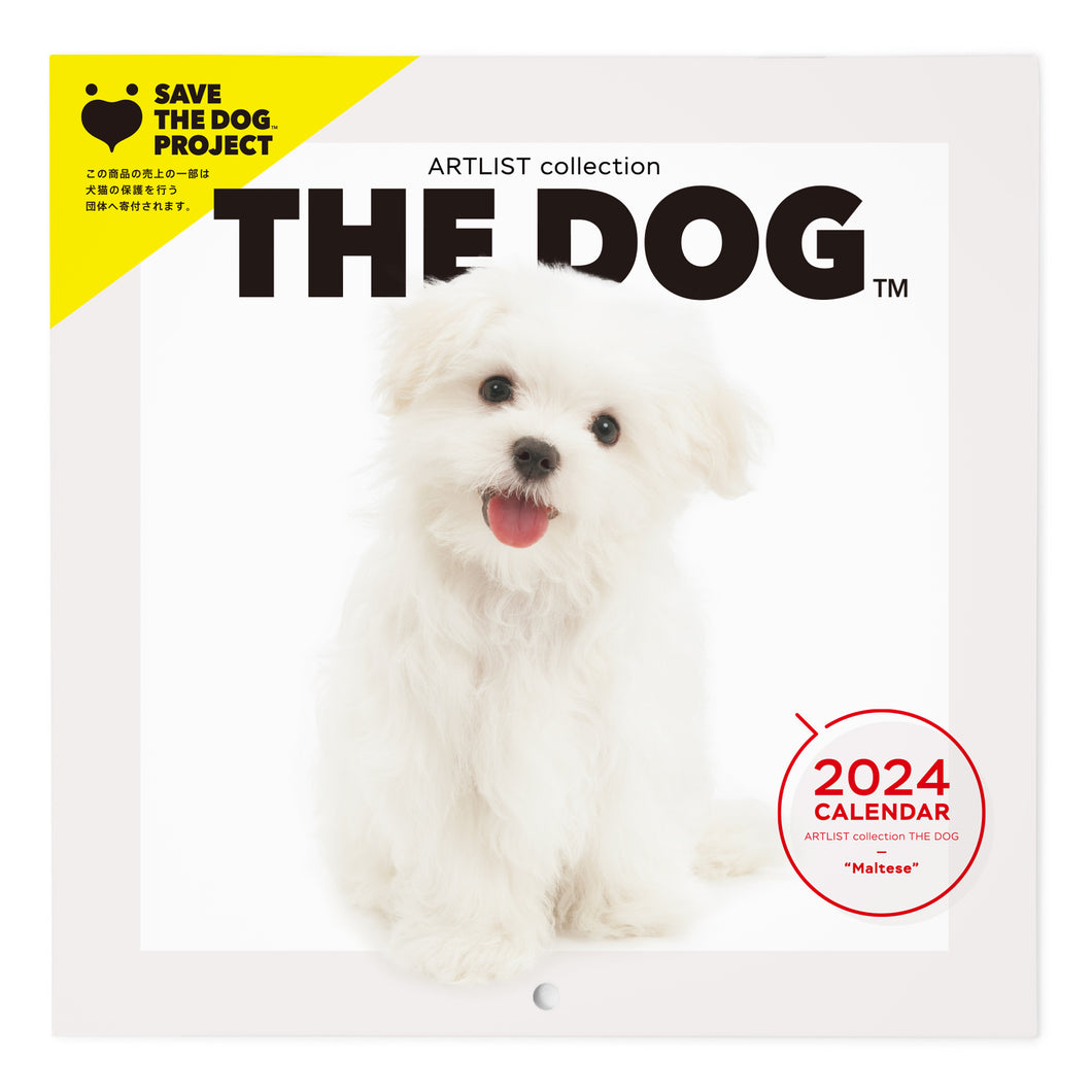 THE DOG 2024年カレンダー ミニサイズ（マルチーズ）