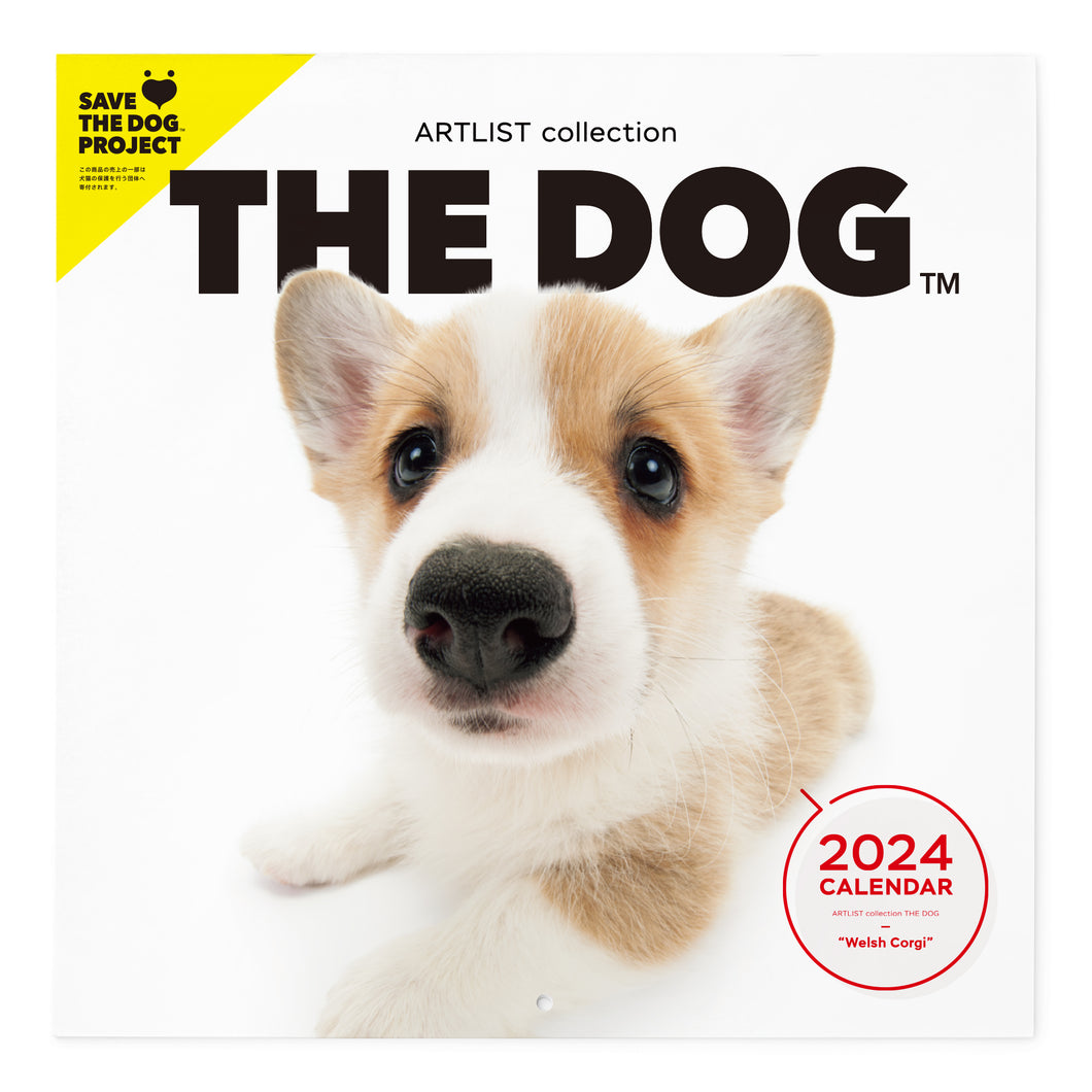 THE DOG 2024 Calendar Large format size (Welsh Corgi)