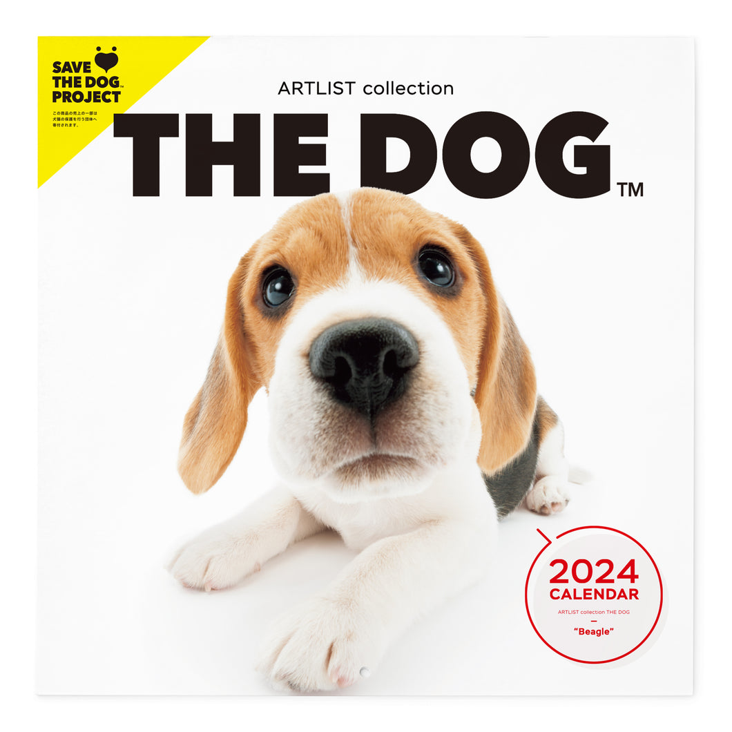 THE DOG 2024 Calendar Large format size (beagle)