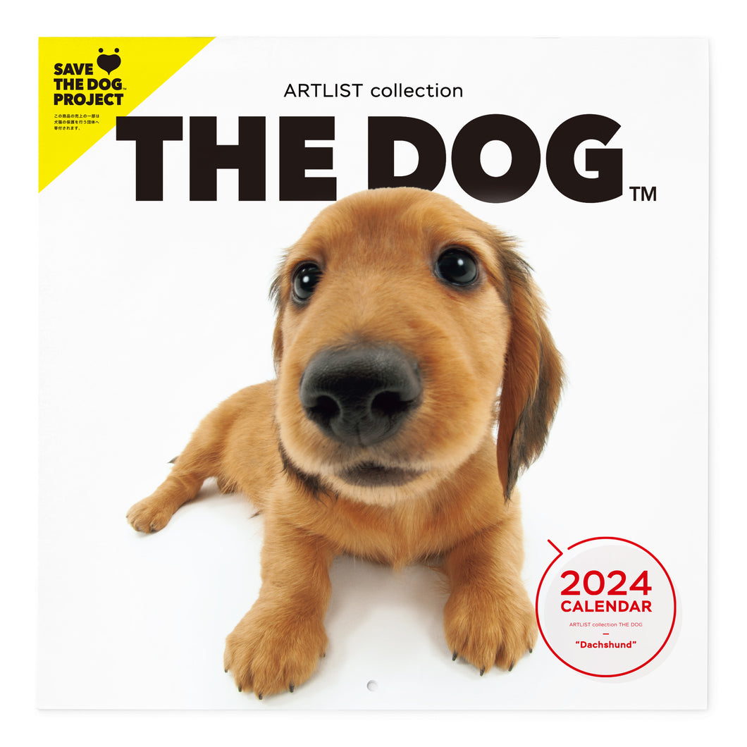 THE DOG 2024 Calendar Large format size (Dachshund)