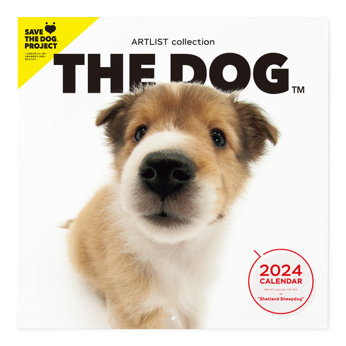 THE DOG 2024 Calendar Large Format Size (Shetland Sheep Dog)