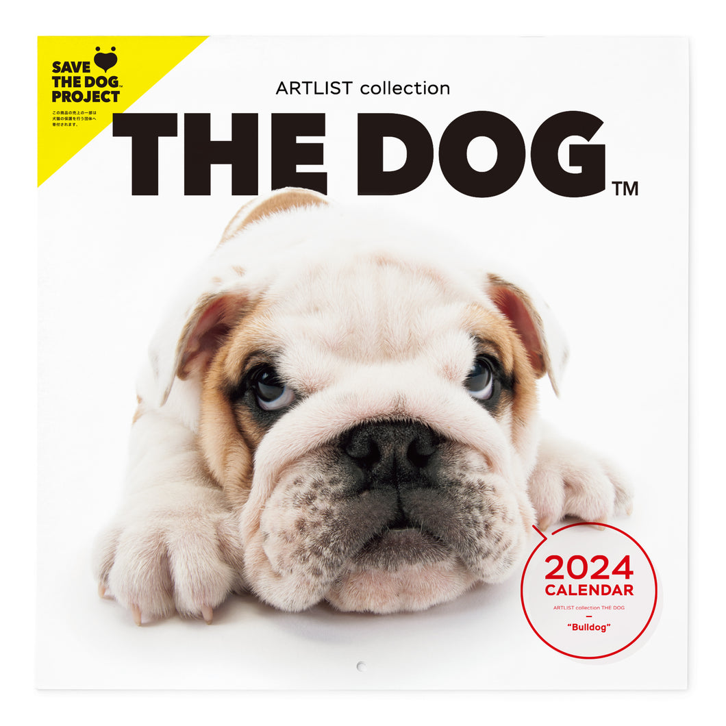 THE DOG 2024 Calendar Large format size (bulldog)