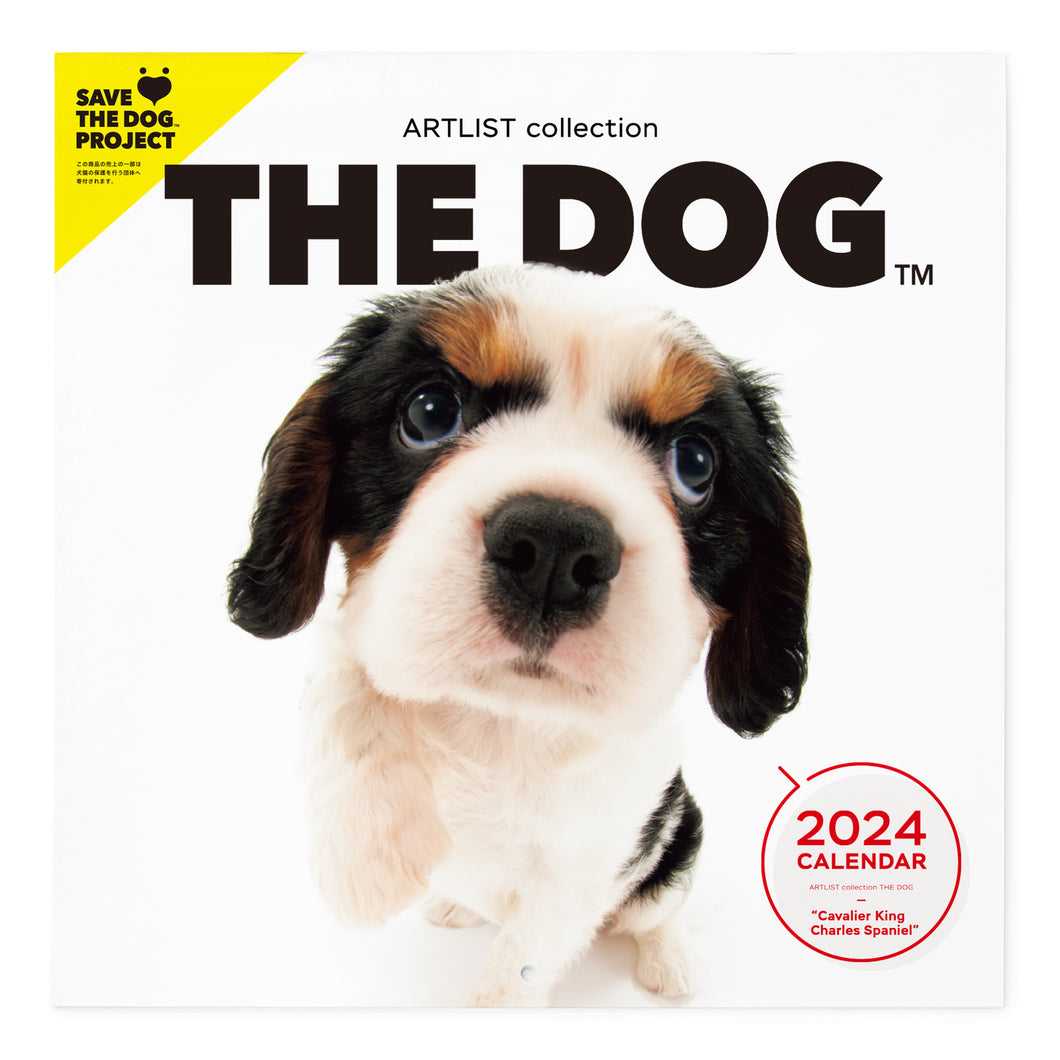 THE DOG 2024年カレンダー 大判サイズ（キャバリア・キング・チャールズ・スパニエル）
