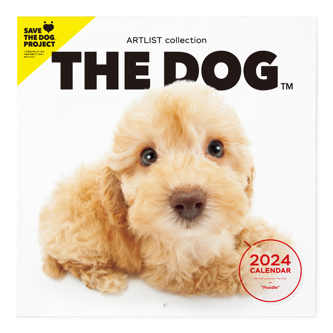 THE DOG 2024 Calendar Large format size (poodle)