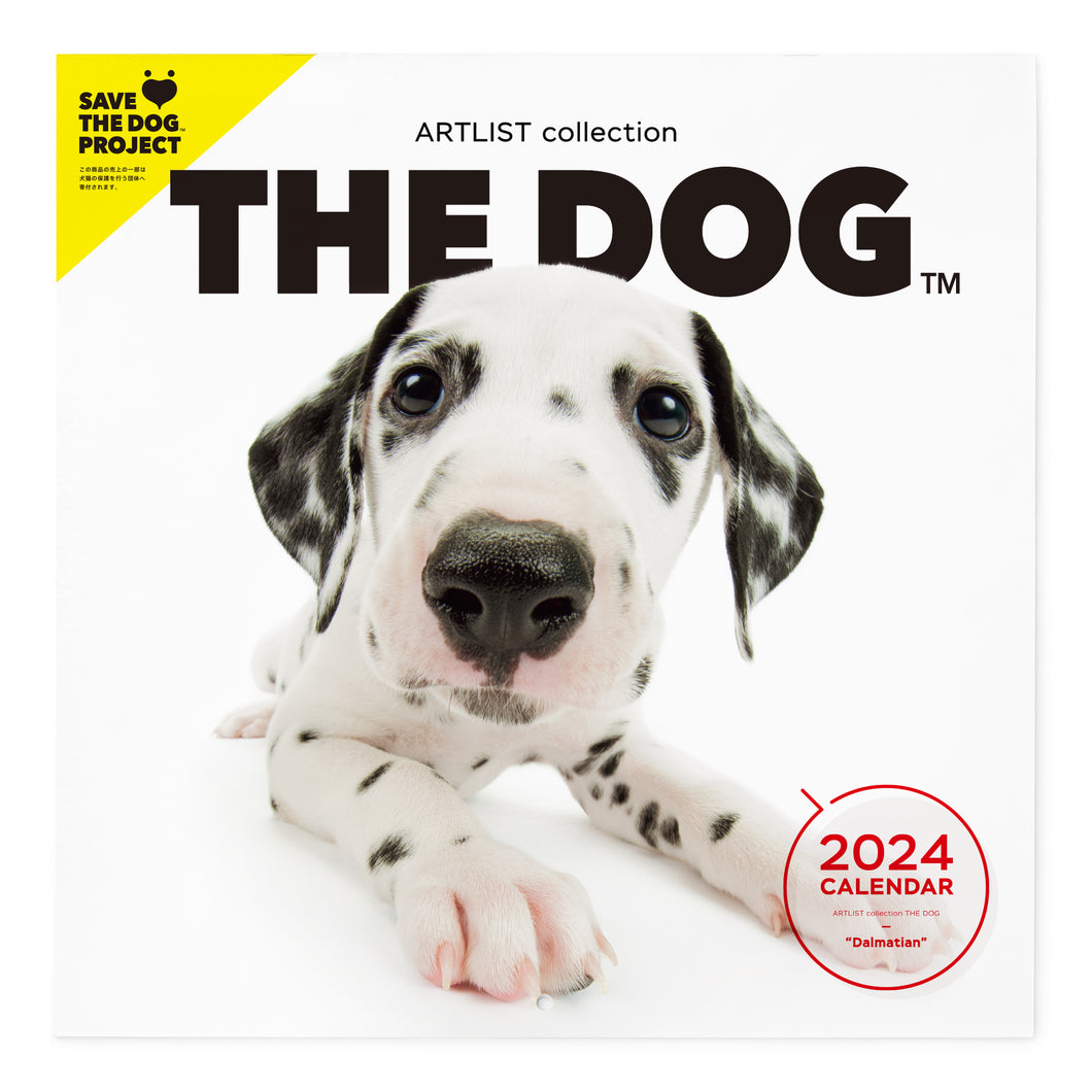 THE DOG 2024 Calendar Large format size (Dalmatian)